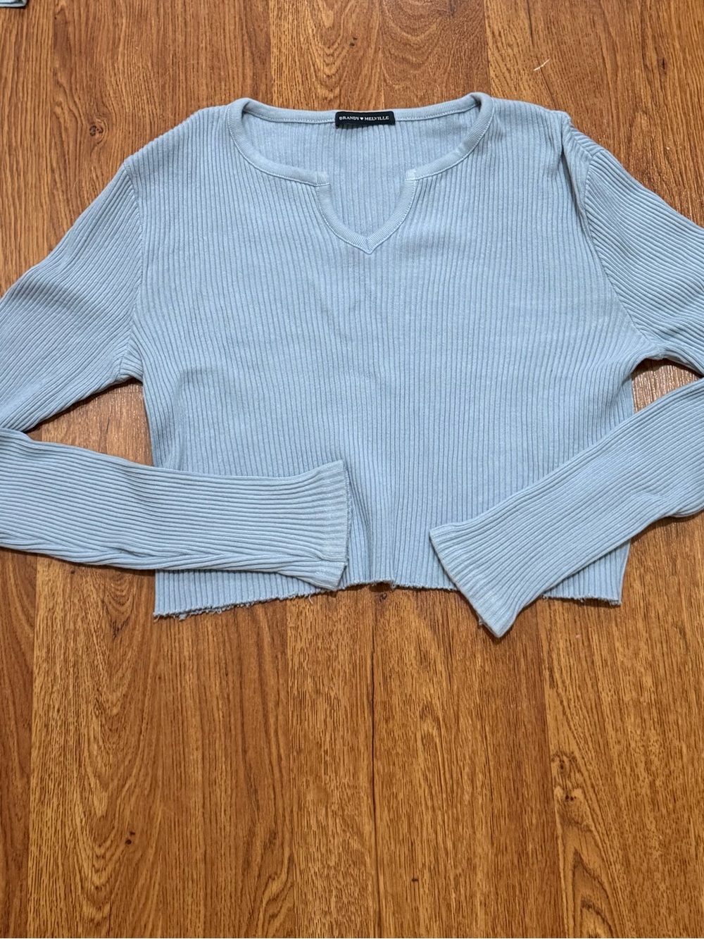 Brandy Melville Pale Blue Ribbed V-Notch Crop Top
